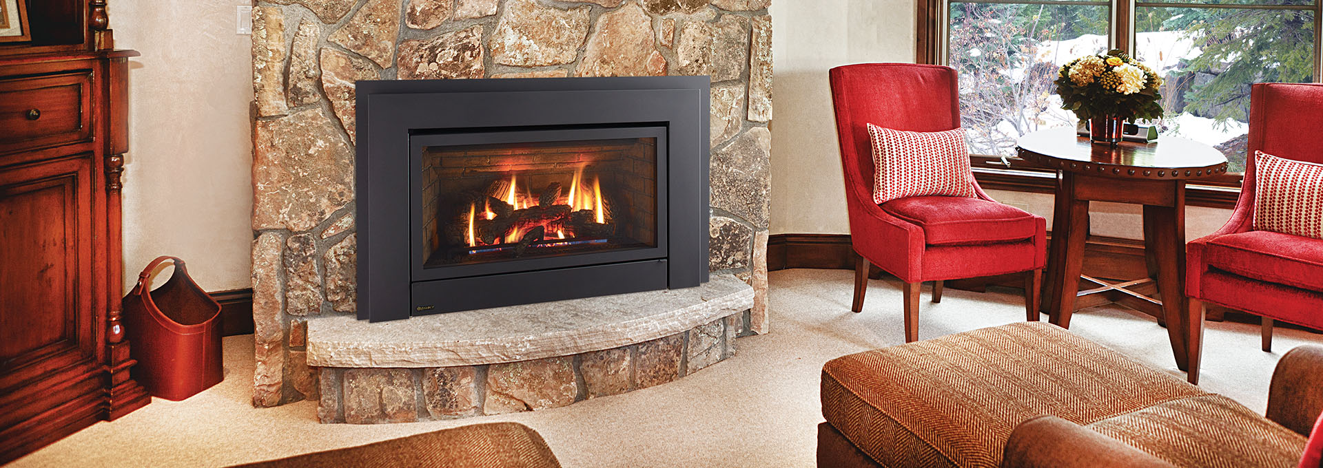 Regency® Energy™ E33 Gas Insert